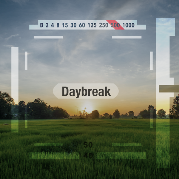 Daybreak Daybreak